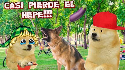 Abro Hilohice Que Un Perro Le M0rdiera El Nepe A Un NiÑo Con Derecho 🍆