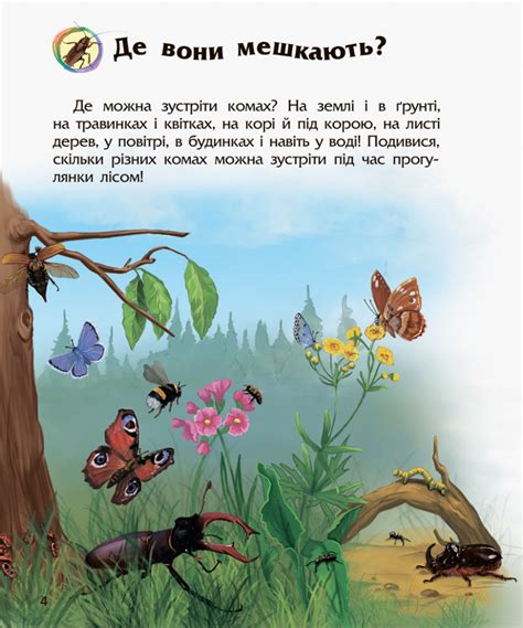 Детская энциклопедия про насекомых 614014 для дошкольников | Оптом ...