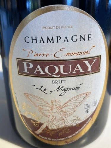 Pierre Emmanuel Paquay Le Magnum Brut Champagne Vivino US