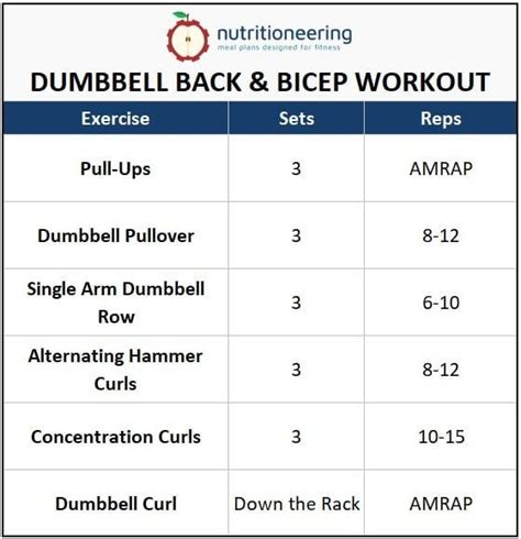 Complete Dumbbell Back And Bicep Workout Back And Bicep Workout