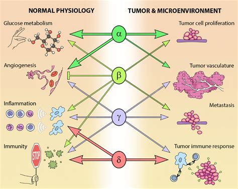 Isoform Specific Roles Of Class I Pi3ks In Normal And Cancer Physiology