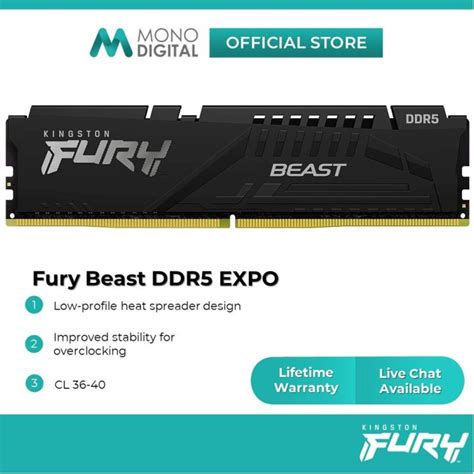 Kingston Fury Beast Black DDR5 EXPO 5200 5600 6000 MHz Desktop Gaming