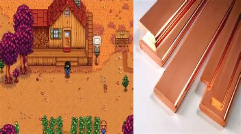 How to Catch Stardew Valley Blue Discus, Location, Difficulty, Seasons ...