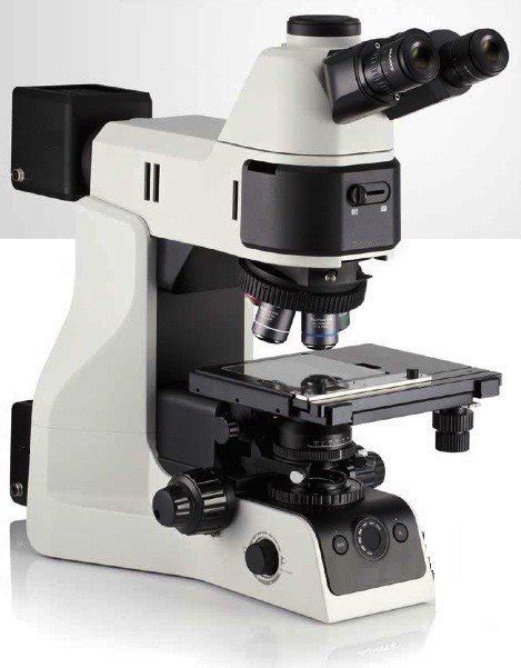 Metallurgical Microscopy Basics & Applications | Bioimager