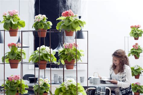 Магазин Цветов В Горшках Спб — Novye-skidki.ru