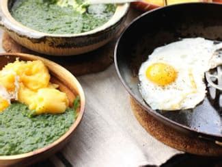 Conserve Lacto Ferment E D Ail Des Ours Et Jeunes Pousses D Orties Recette Par Un Peu Gay Dans