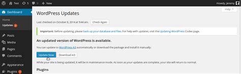 A Guide To Updating Wordpress Plugins And Themes