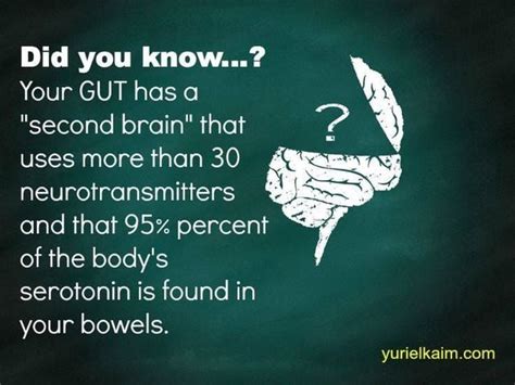 Serotonin is happiness hormone. Toxic food for short term happiness ...