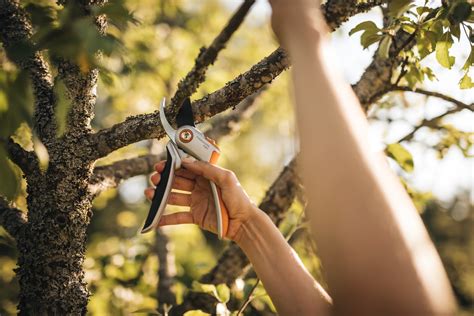 Секатор плоскостной металлический Fiskars Plus P531 купить в Москве