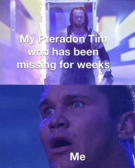 Naked And Afraid Type Beat R Ark