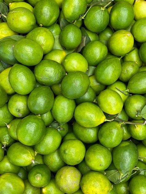 lime juice concentrate ee brian smith