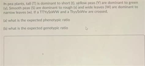 Solved In Pea Plants Tall T Is Dominant To Short T