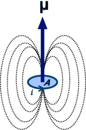 Magnetic Dipole Moment - QS Study