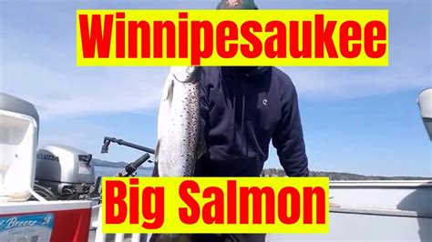 Salmon Fishing On Winnipesaukee Youtube