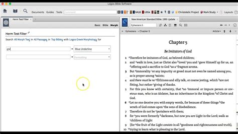 Visual Filters In Logos Bible Software Youtube