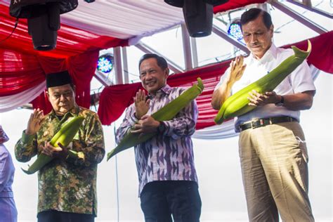 Menteri Luhut Buka Gerakan Nasional Bangga Buatan Indonesia Di