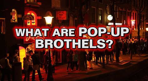 The Disturbing Sex Work Website Where Men Share Reviews Of Brothels Mirror Online