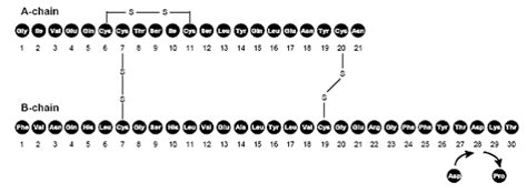 Novolog Mix Insulin Aspart Protamine And Insulin Aspart Rdna