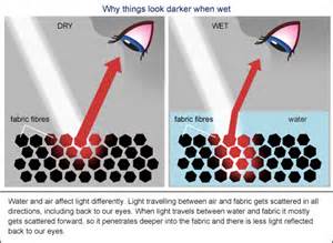 Darker When Wet › Bernies Basics Abc Science