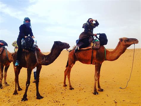 Camel Trekking Sahara Desert Tours From Marrakech More In Flickr