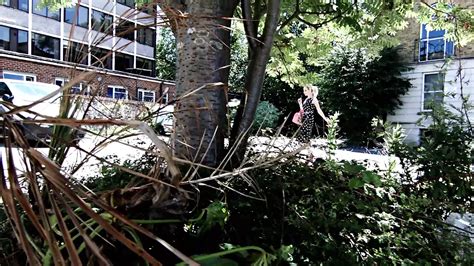 Chessie Kay Porn Videos Porn Star Sex Scenes XHamster