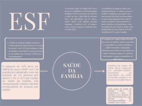 Mapa Mental Saúde Da Família Esquemas Enfermagem Docsity