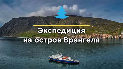 Экспедиционный круиз на остров Врангеля, Чукотка - YouTube
