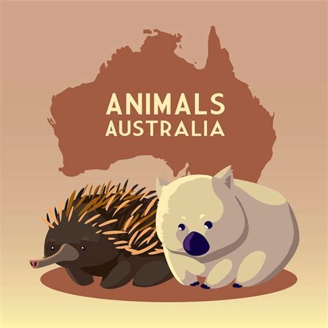 Wombat y hedgehog mapa del continente australiano ilustración de vida