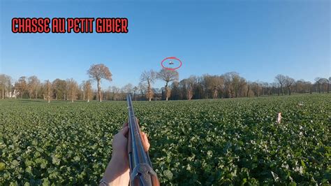 Chasse Du Petit Gibier Perdrix Faisans Grives Youtube