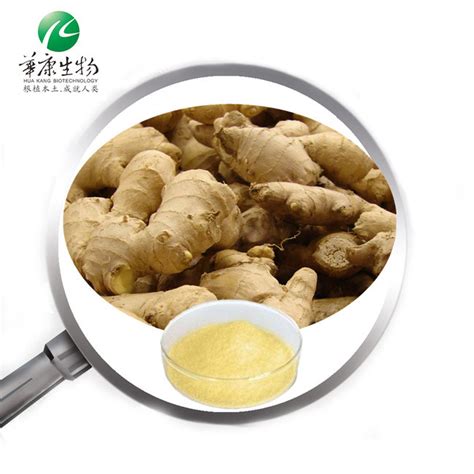 High Quality 100 Natural Gingerol Water Soluble Zingiber Officinale