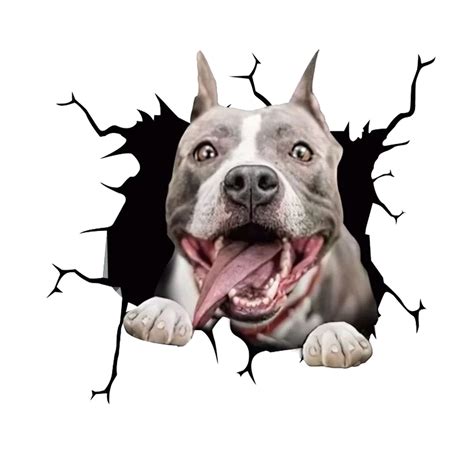 Can Pitbulls Be Outside Dogs