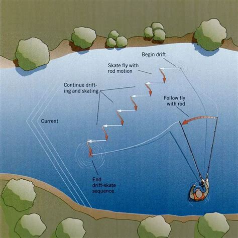 Panfish Fishing In Florida Anglers Guide To Success