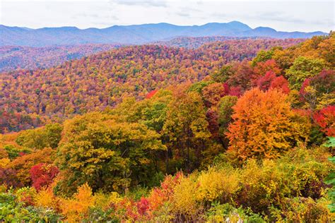 Fall Brilliance In Asheville North Carolina — Kevin And Amanda