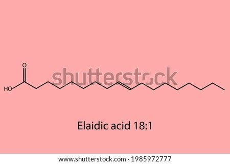 Elaidic Acid Stock Vector Images Avopix