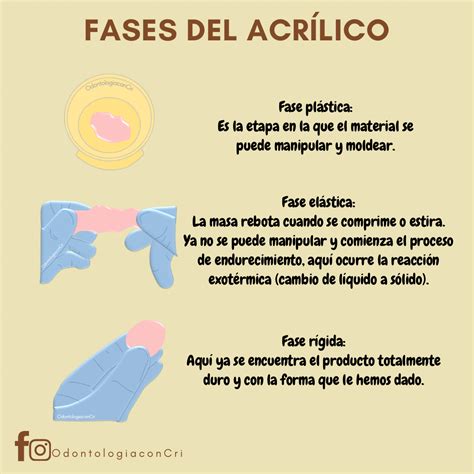 Fases Del Acr Lico Escuela De Higiene Dental Higienista Dental