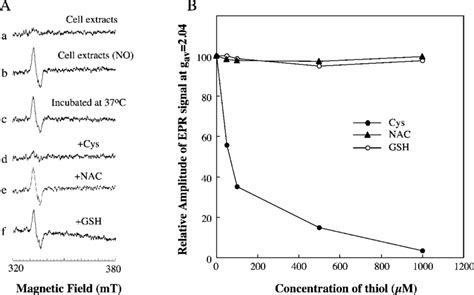 Effect Of L Cysteine On The Epr Signal Of The Dinitrosyl Iron Complex