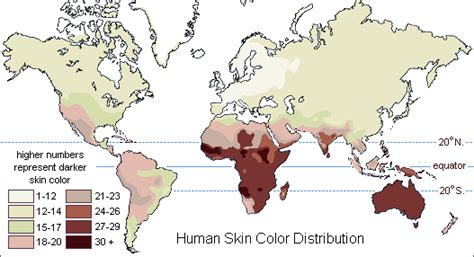 Skin Color World Map