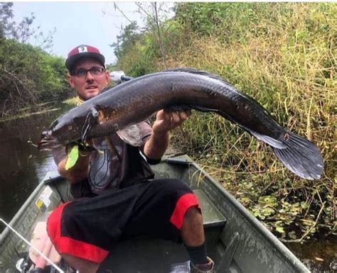 Experience The Thrill Of Peacock Bass Fishing In South Florida