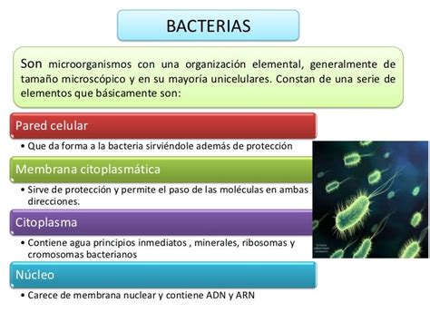 Agentes Infecciosos