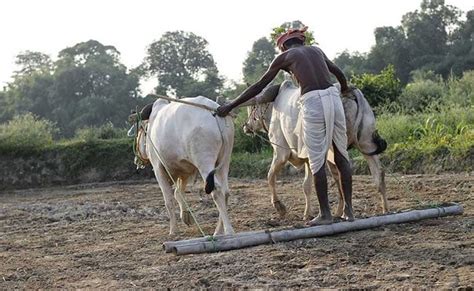 Kerala Farmer Kills Self Over Mounting Debts Ninth Suicide In 2 Months