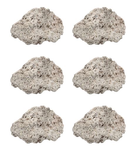 Buy Pk Raw Pumice Igneous Rock Specimens Approx Geologist