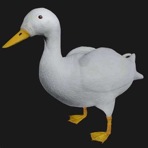 Duck 3d Model Rigged And Low Poly Game Ready