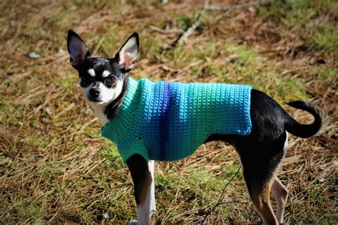 Gradient Stripes Small Dog Crochet Sweater Pattern - Crochet With Kim