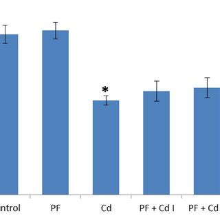 Effect Of Polyphenols And CdCl2 Administration On Renal Catalase CAT