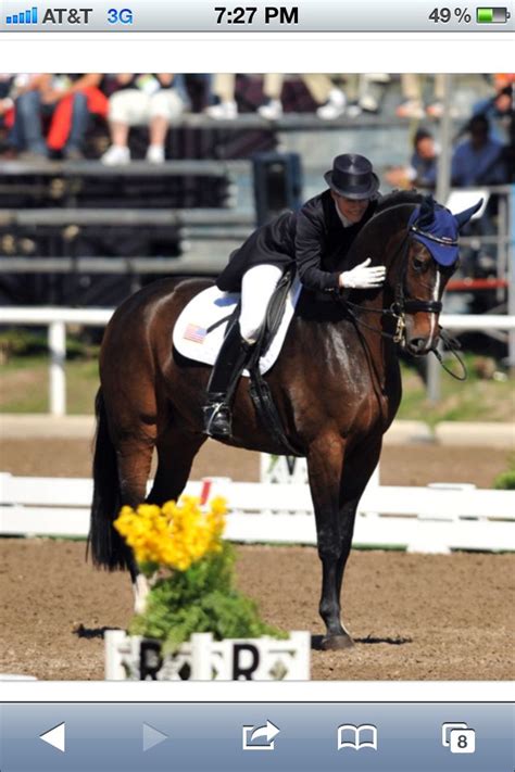 Dressage | Dressage horses, Beautiful horses, Horse equestrian