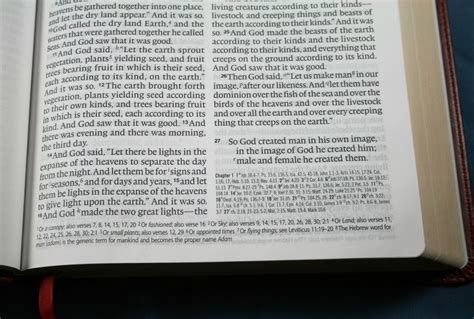 Crossway ESV Large Print Thinline Reference Bible Review