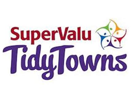 Tidy Towns Competition 2013 - RFPM