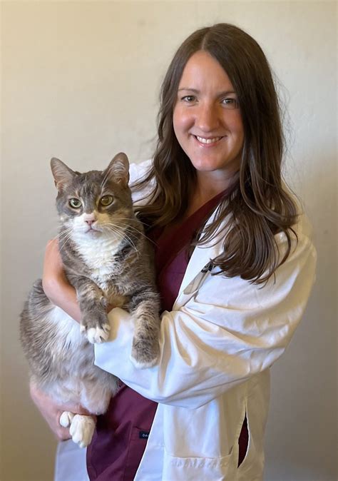 Our Story - Apex Vet Specialists