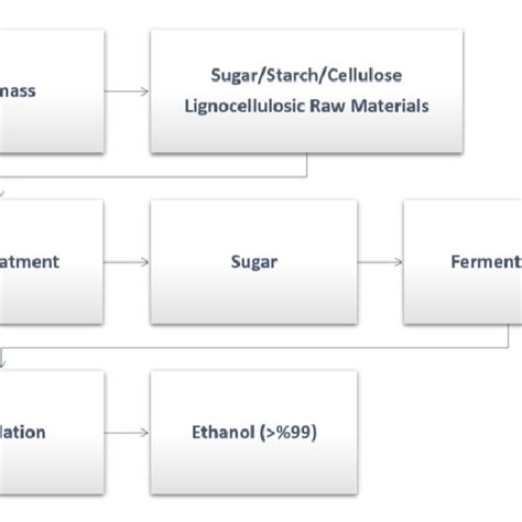 Bioethanol Production Stages 21 Download Scientific Diagram