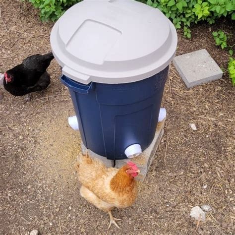 DIY Chicken Feeder - Kliklocks